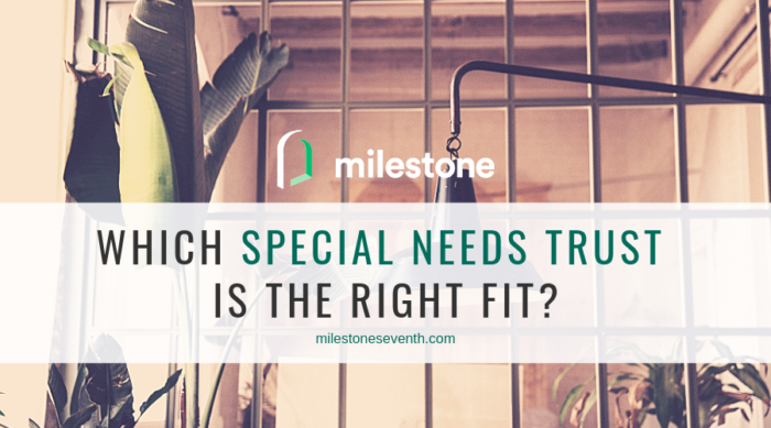 Which special needs trust is the right fit?